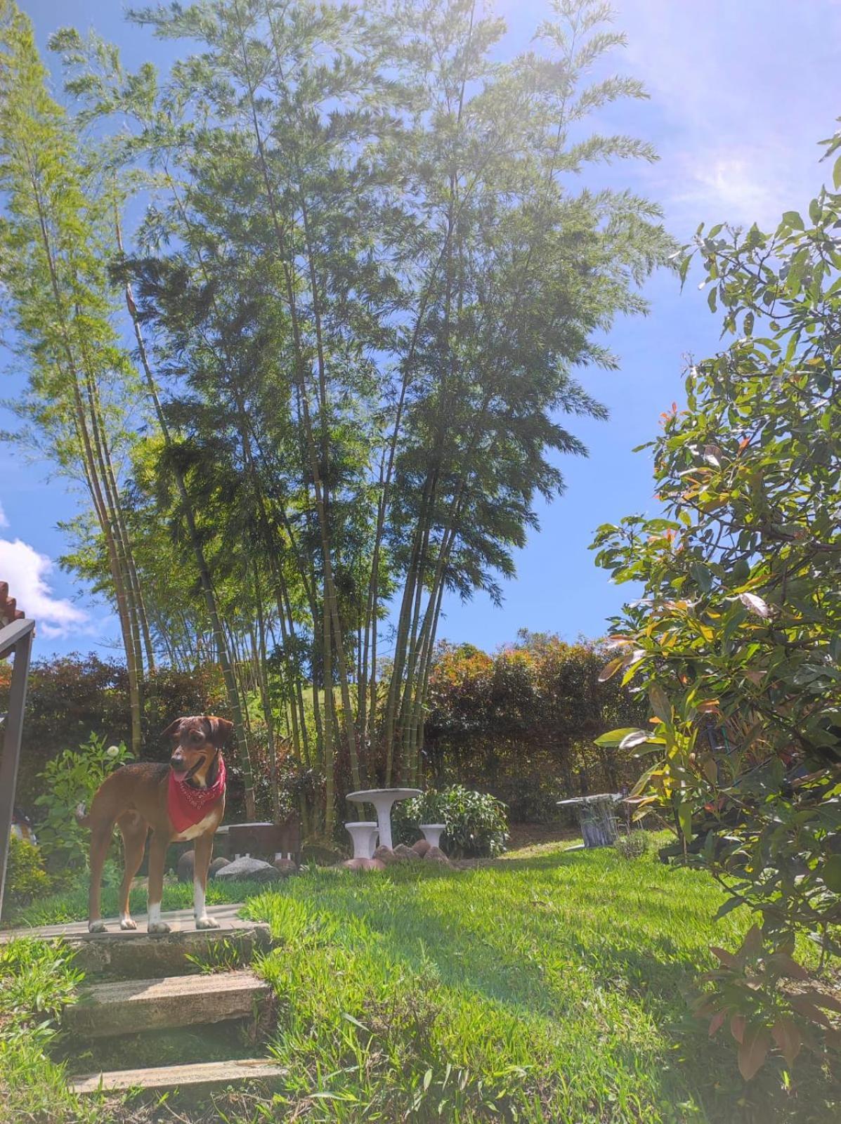 Glamping Montecarlo Cubo De Madera-guatape Campsite *